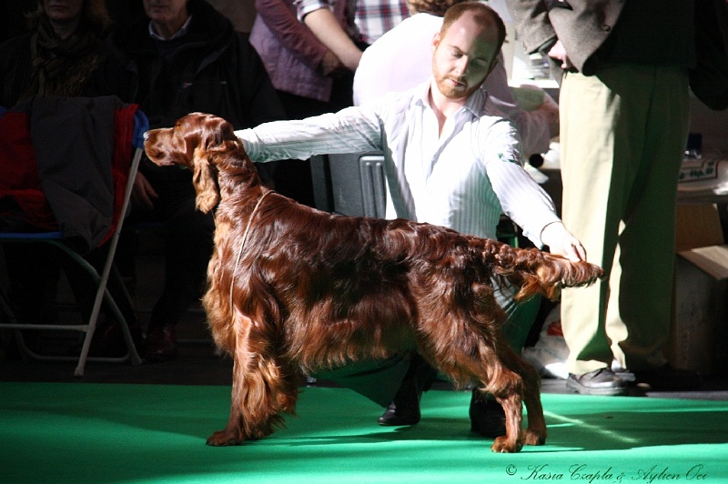 Crufts2011 570.jpg